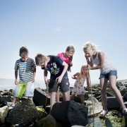 Waddendijk kinderen