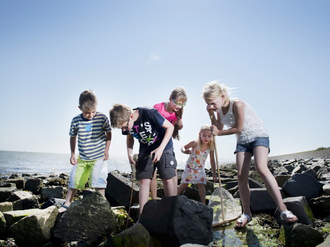 Waddendijk kinderen