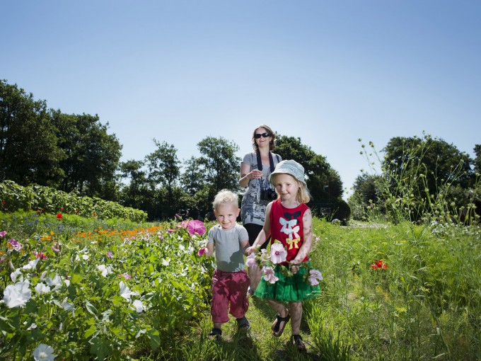 Bloemen plukken