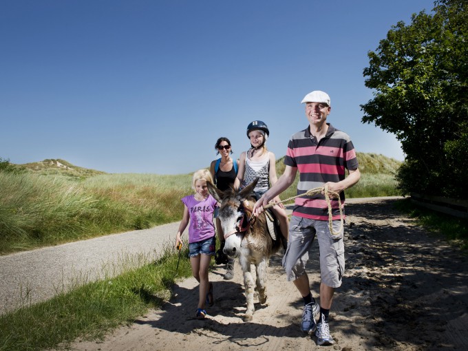 Ezelwandeling