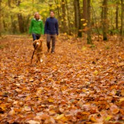 Herfstwandeling