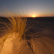Avondzon op duin