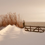 Winter in de polder