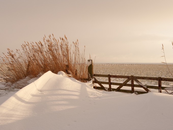 Winter in de polder