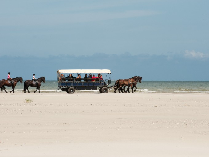 Huifkar met rijpaarden