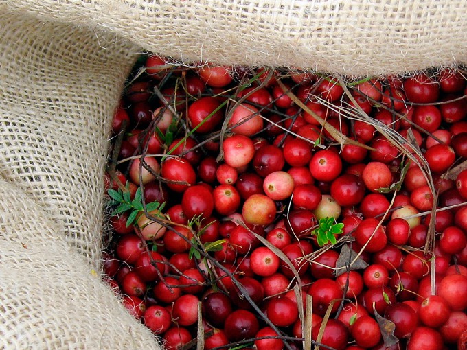 Cranberries