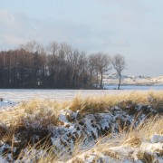 Winter op Terschelling