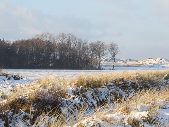 Winter op Terschelling