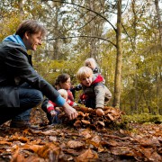 Paddestoelen zoeken