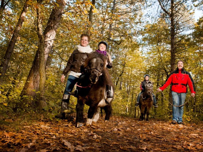 Ponyritje door het bos