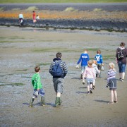 Wadlopen