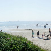 Groene strand panorama