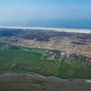 Polder- en duinlandschap Oosterend