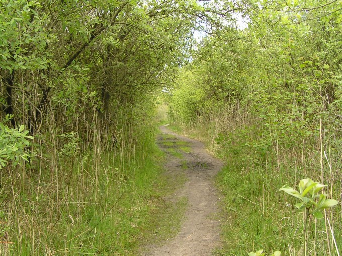 Wandelpad richting Paal 3