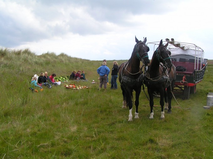 Huifkar excursie